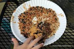 A child rolls a peanut butter-covered pine cone across a plate covered in bird seed