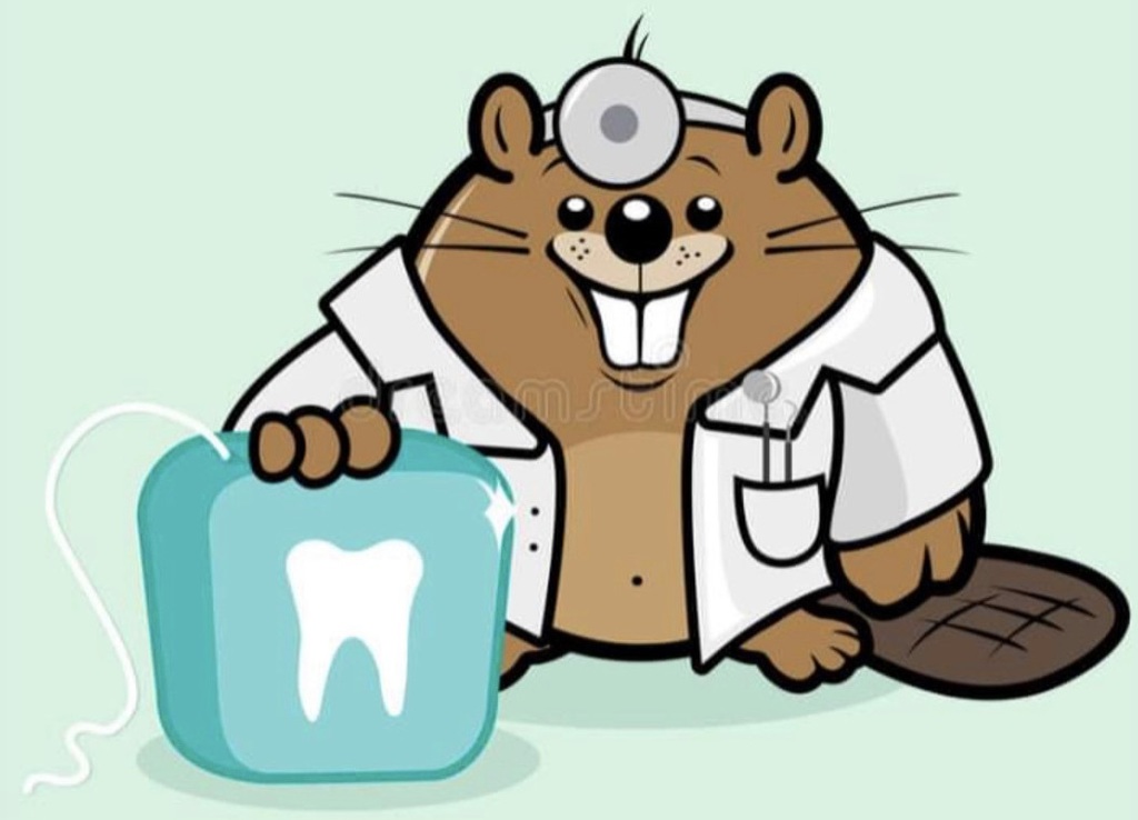 Beaver dressed up as a dentist