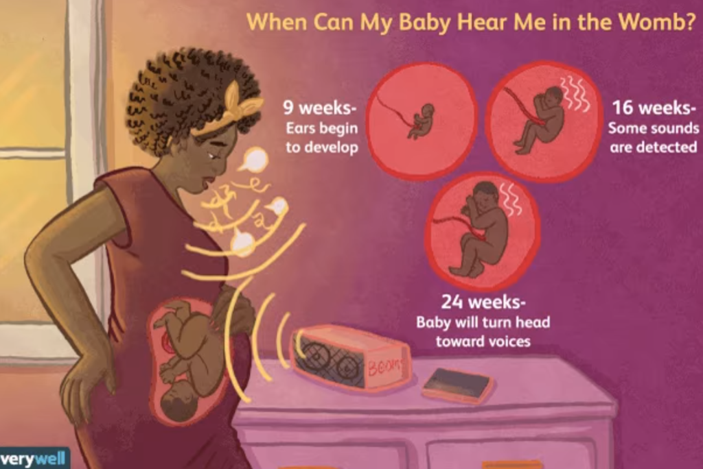 "When Can My Baby Hear Me in the Womb" flyer. Shows a pregnant mother singing to her baby in her womb. Pictures babies at different stages in pregnancy. At 9 weeks, ears begin to develop. At 16 weeks, some sounds are detected. At 24 weeks, your baby will turn head toward voices.