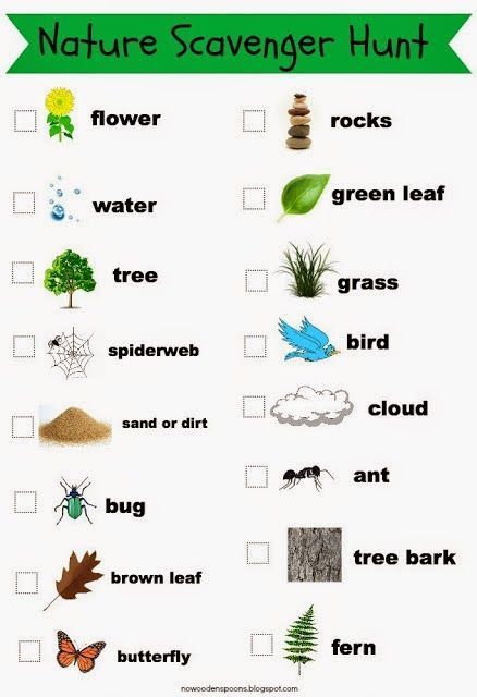Nature Scavenger Hunt lists: flower, rocks, water, green leaf, tree, grass, spiderweb, bird, sand or dirt, cloud, bug, ant, brown leaf, tree bark, butterfly, and fern.