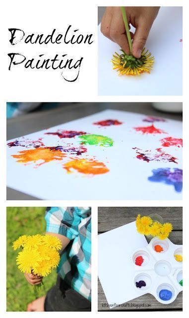 Dandelion painting. Using dandelions as your paint brush.