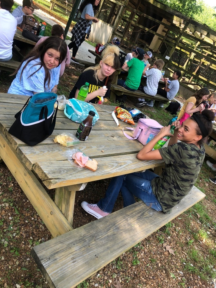 7th graders had fun at tri-county bowl in jerseyville, picnic lunch, and Treehouse wildlife center in Dow. 